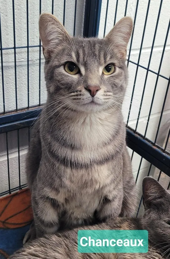 Chanceaux thumbnail 3