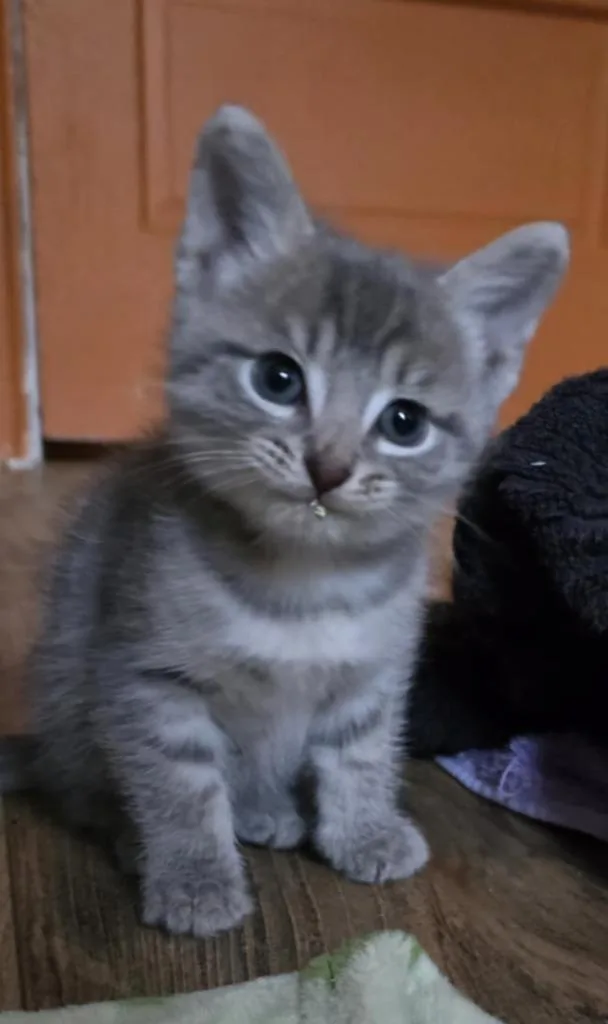 Chanceaux thumbnail 4