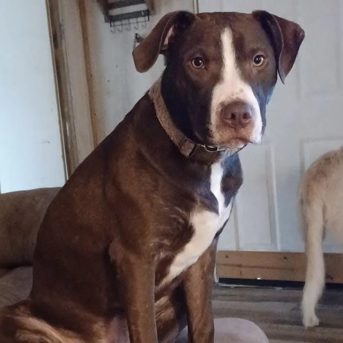 Kane Aka Enrique thumbnail 4