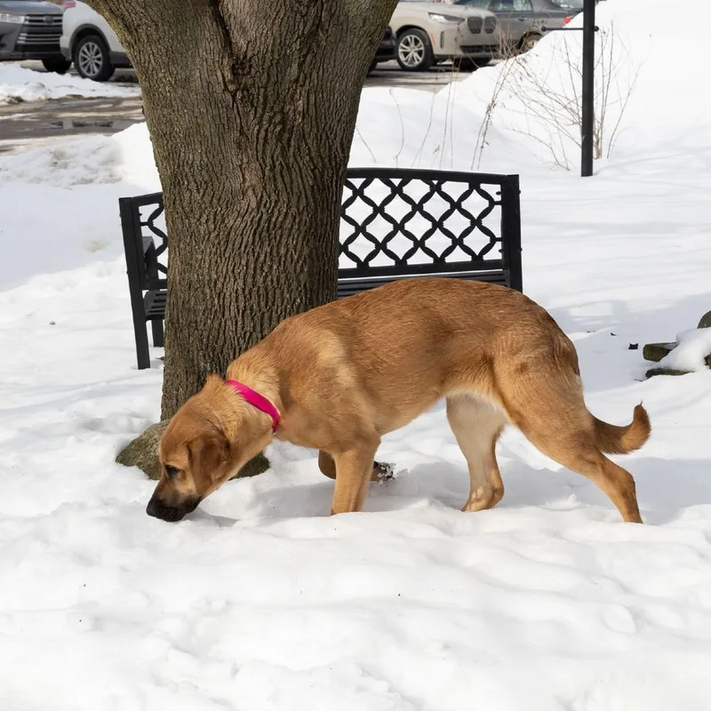 Lady Gaga thumbnail 2