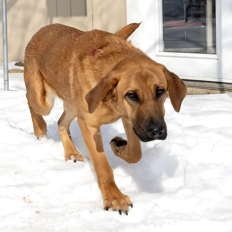 Lady Gaga thumbnail 3