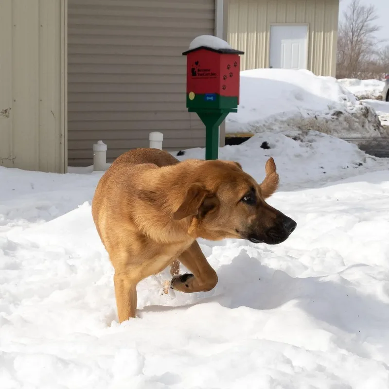 Lady Gaga thumbnail 4