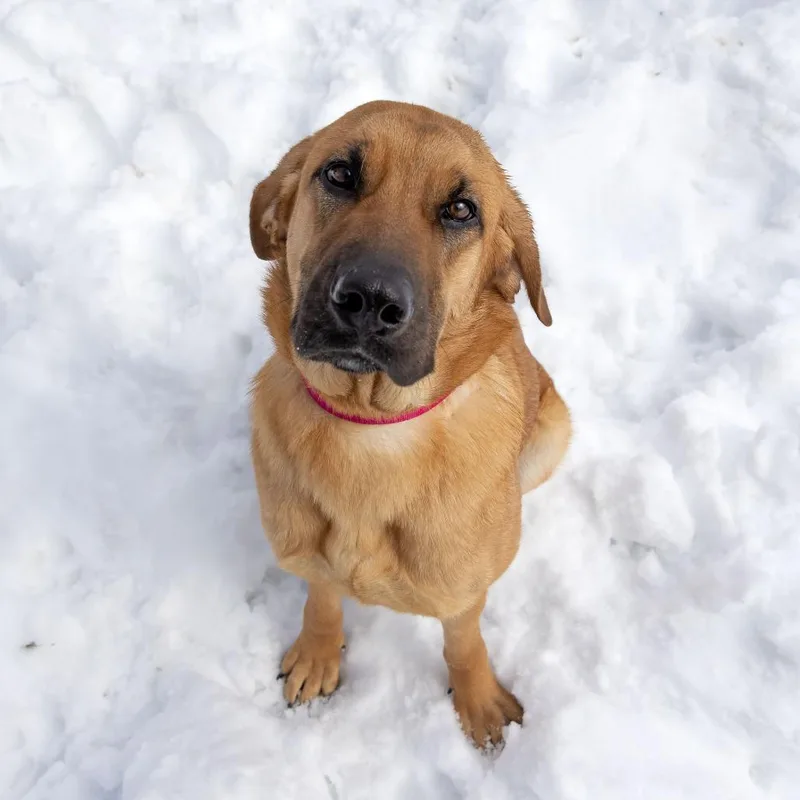 Lady Gaga thumbnail 5