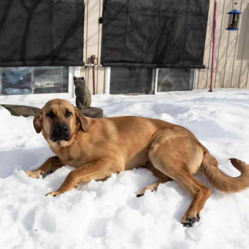 Lady Gaga thumbnail 6