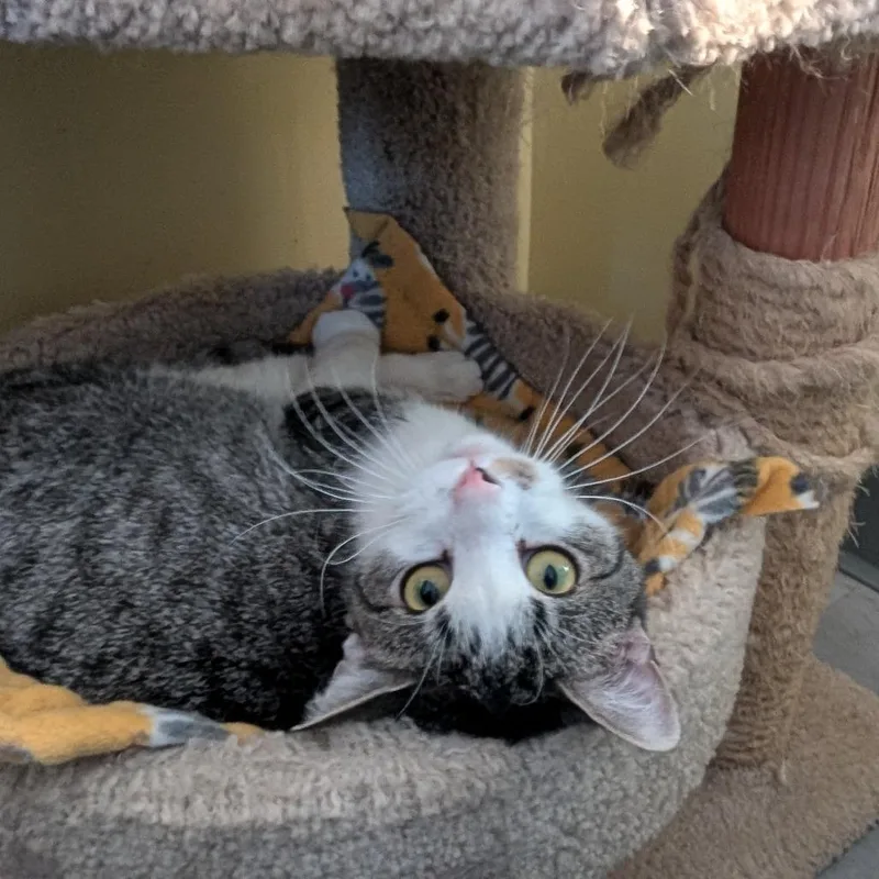 Oscar Madison thumbnail 3