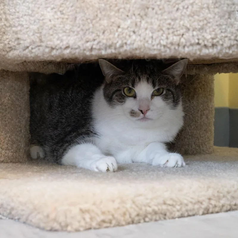 Oscar Madison thumbnail 4