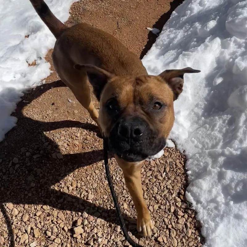 Rockhopper thumbnail 2