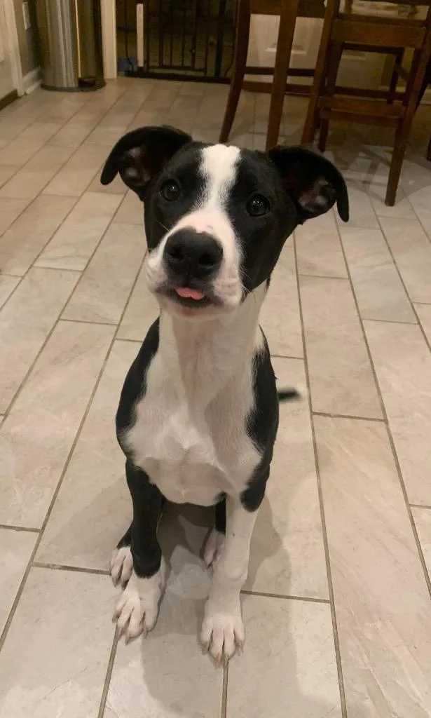 Cap N Crunch thumbnail 2