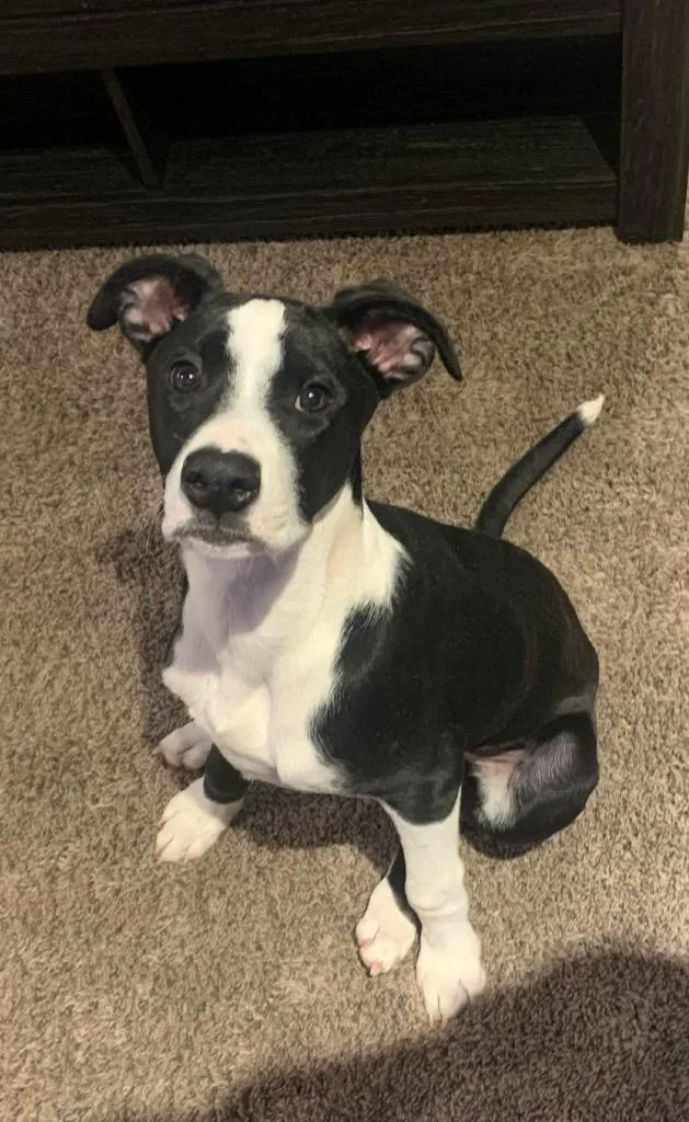 Cap N Crunch thumbnail 3