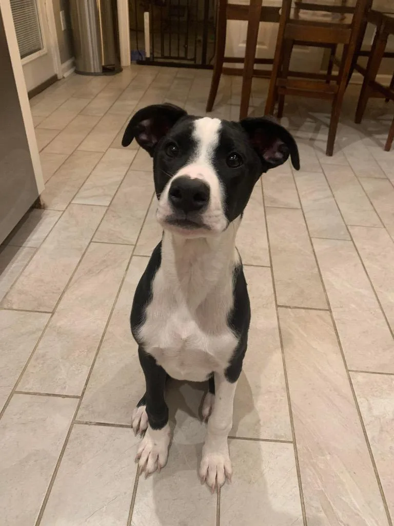 Cap N Crunch thumbnail 4