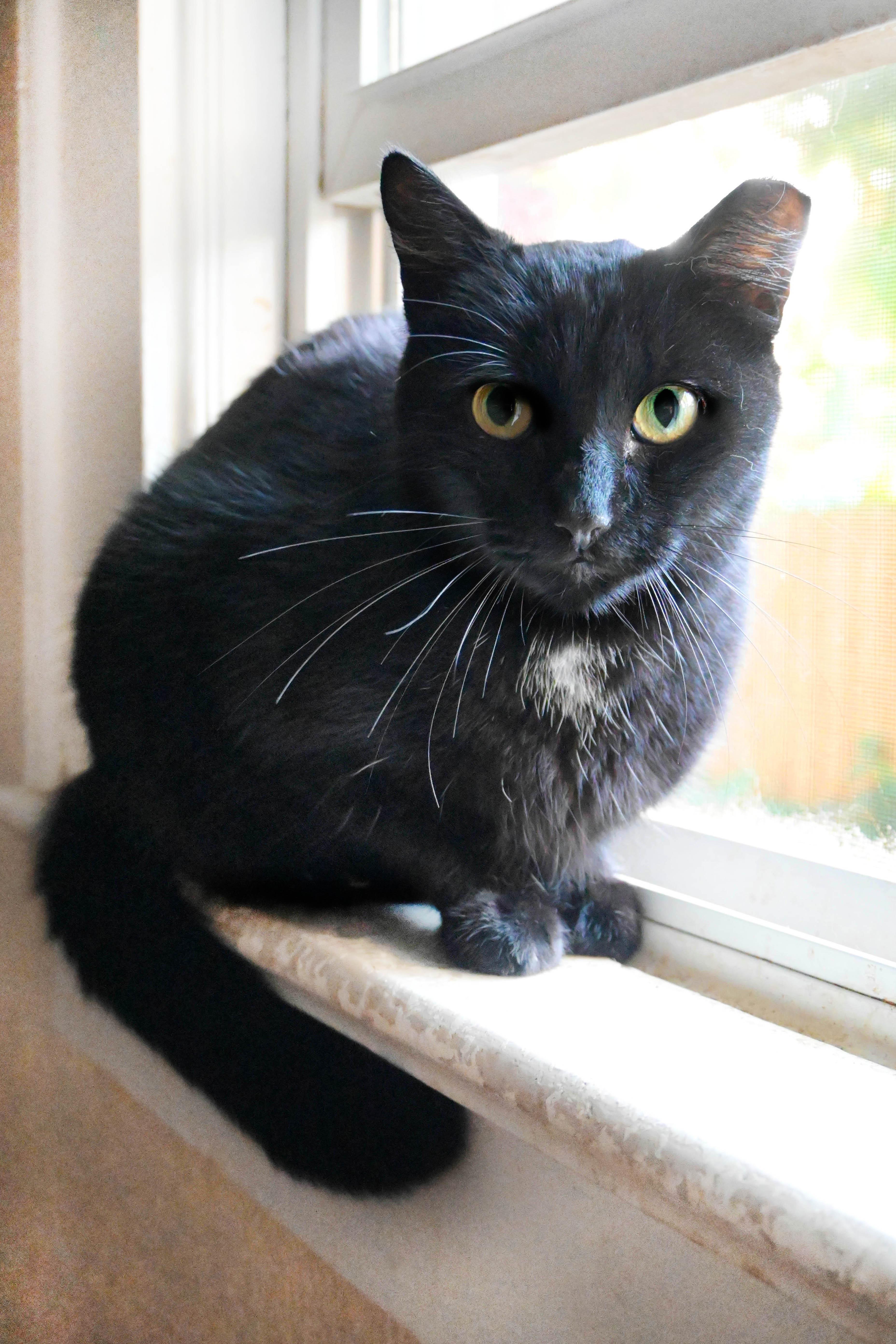 Knightknight thumbnail 6