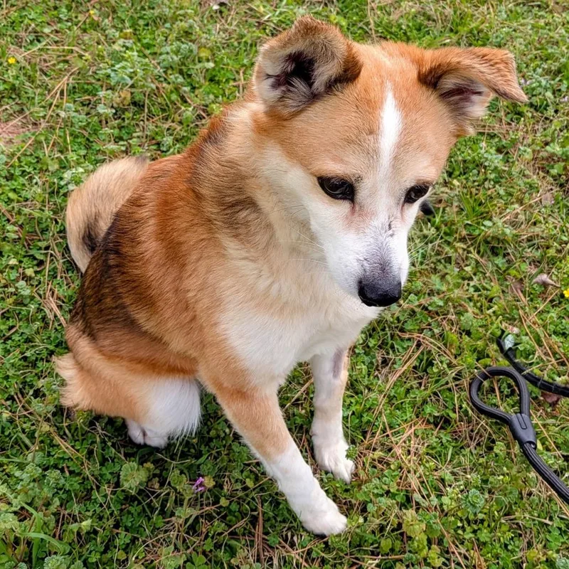 Luna Crumb thumbnail 2