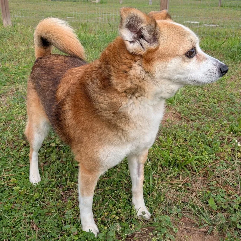 Luna Crumb thumbnail 4