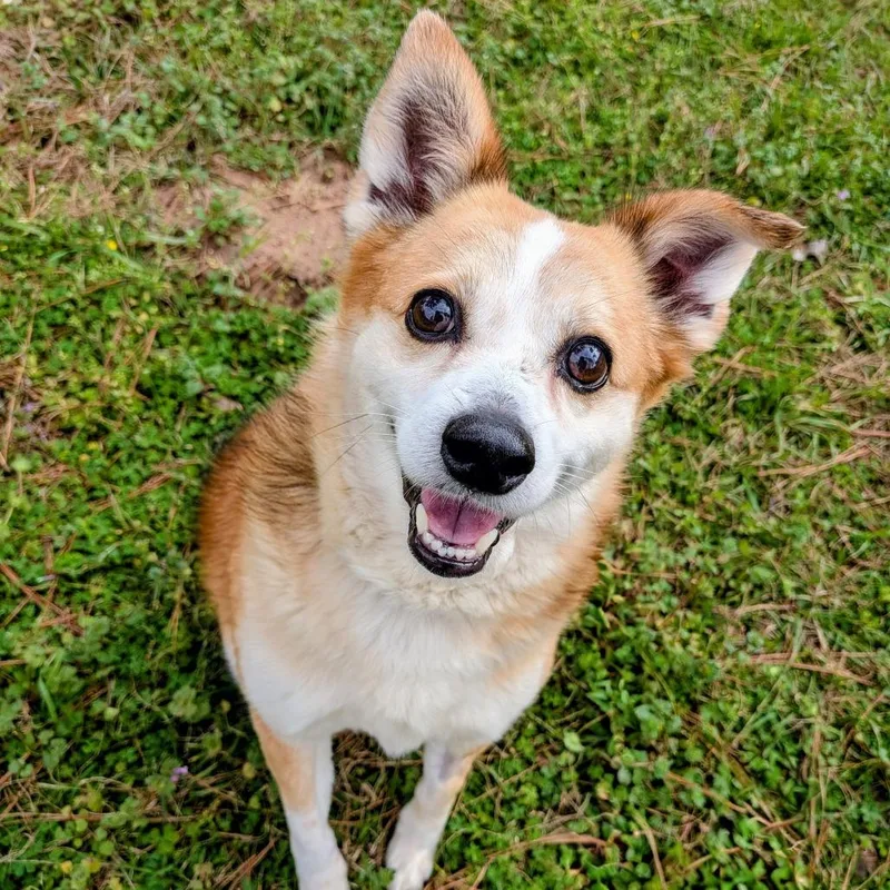 Luna Crumb thumbnail 5