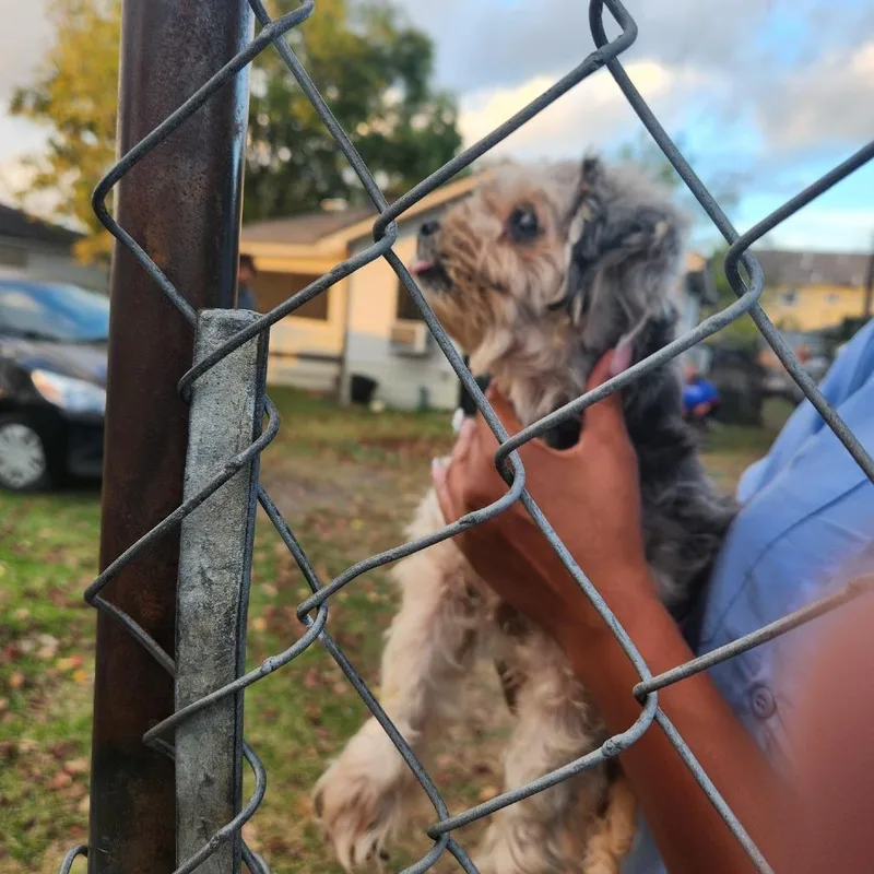 Christi Jo thumbnail 2