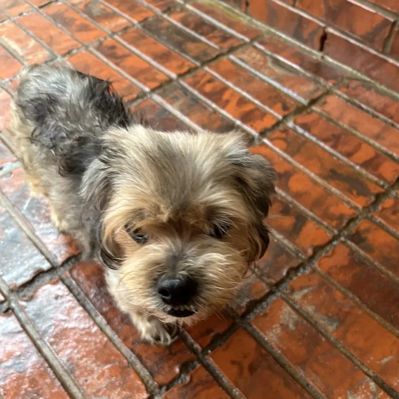 Christi Jo thumbnail 3