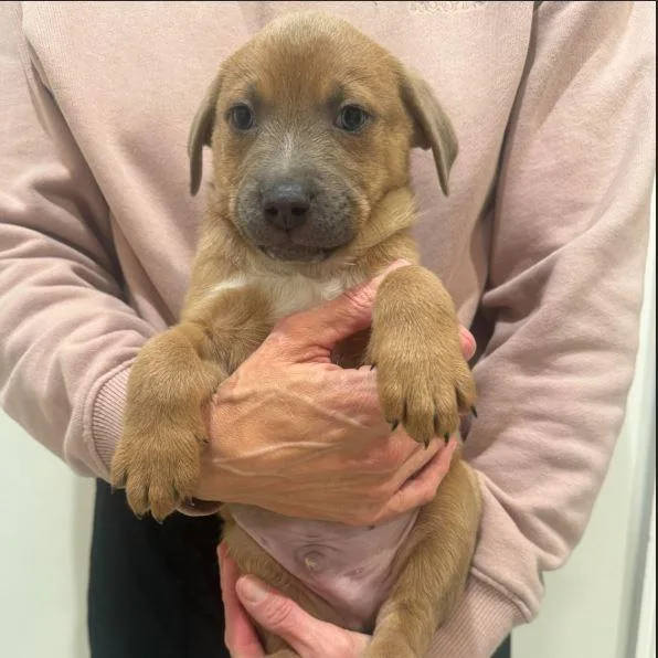 Jinx Monsoon thumbnail 2