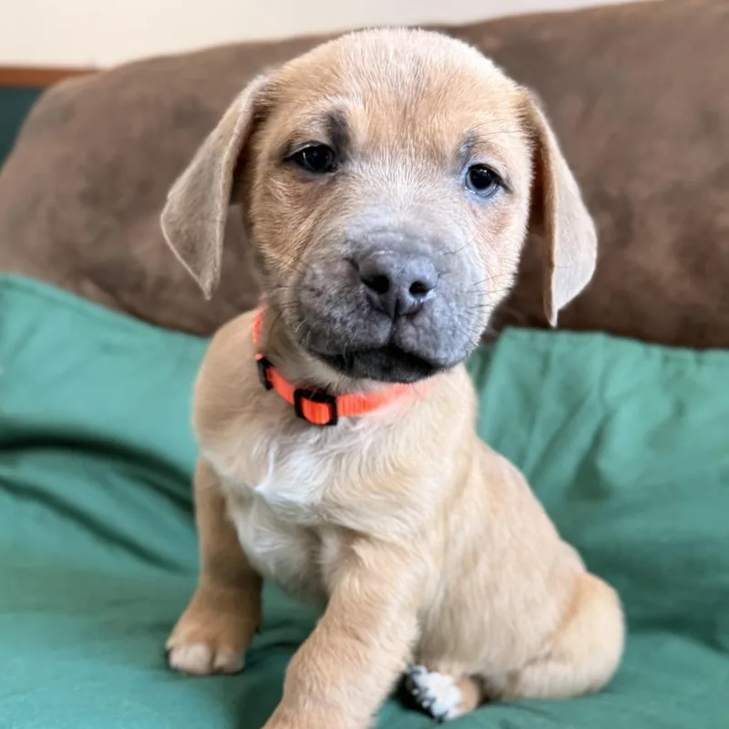 Jinx Monsoon thumbnail 3