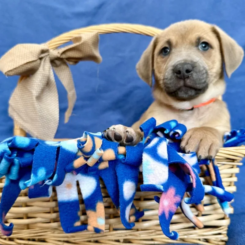 Jinx Monsoon thumbnail 4