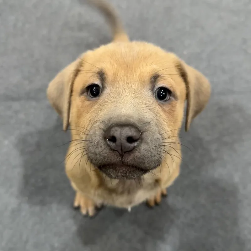 Jinx Monsoon thumbnail 6