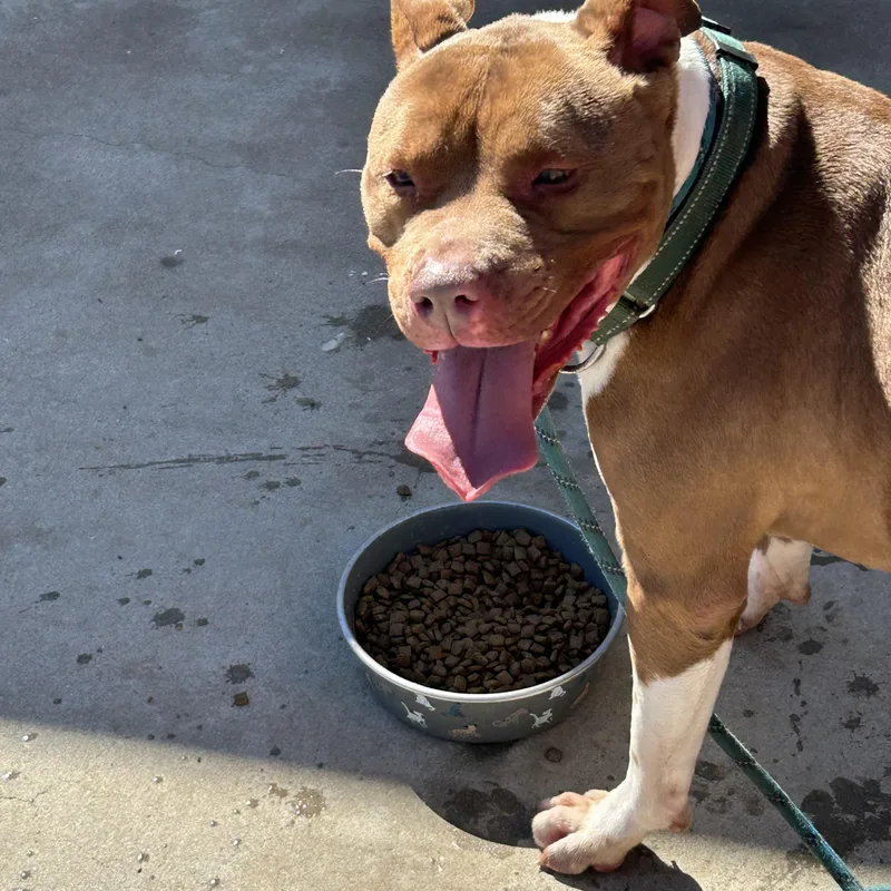 Louis Aka Lazy Lovable thumbnail 2