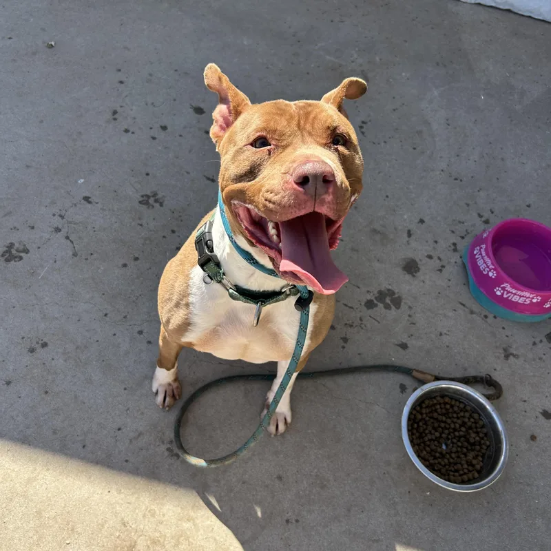 Louis Aka Lazy Lovable thumbnail 3