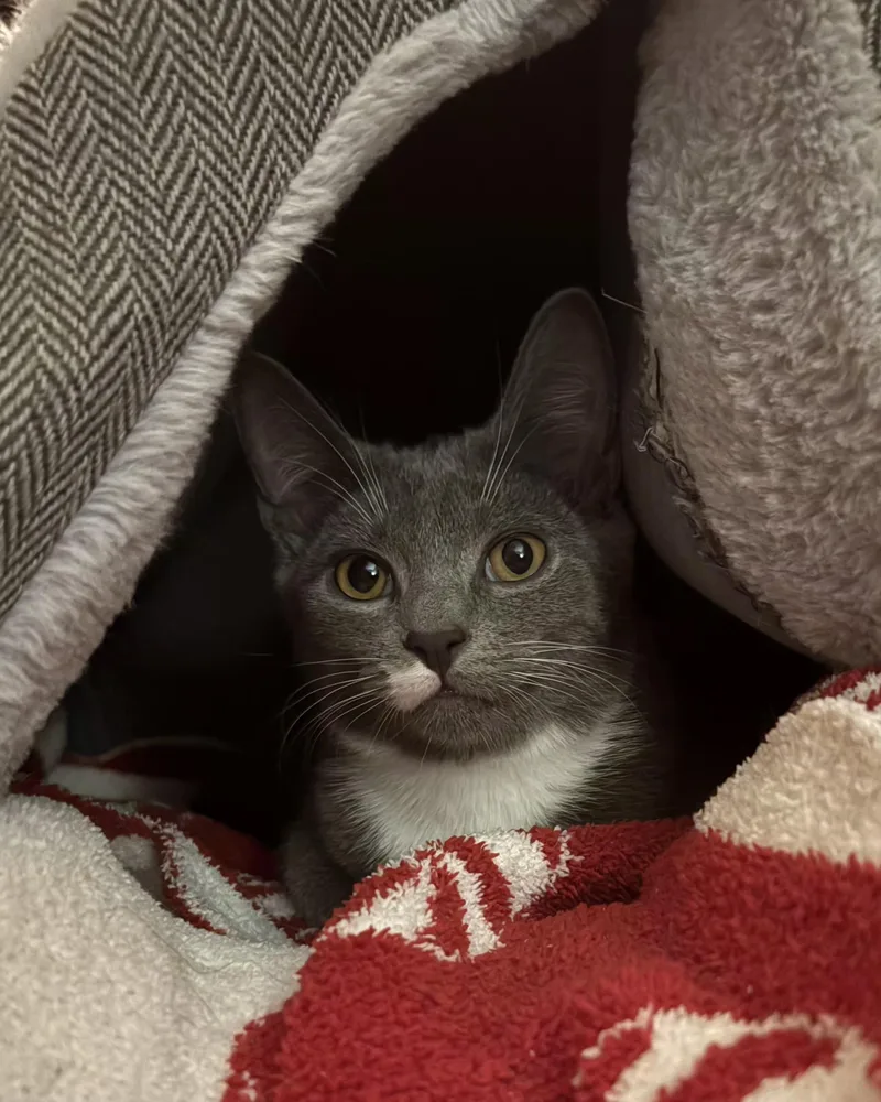 Matchstick thumbnail 2