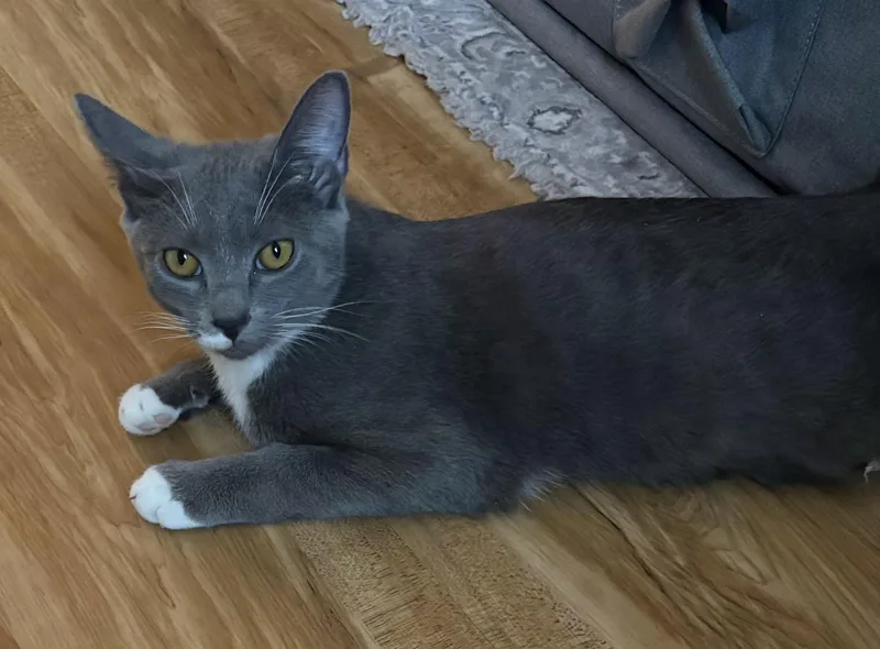 Matchstick thumbnail 3