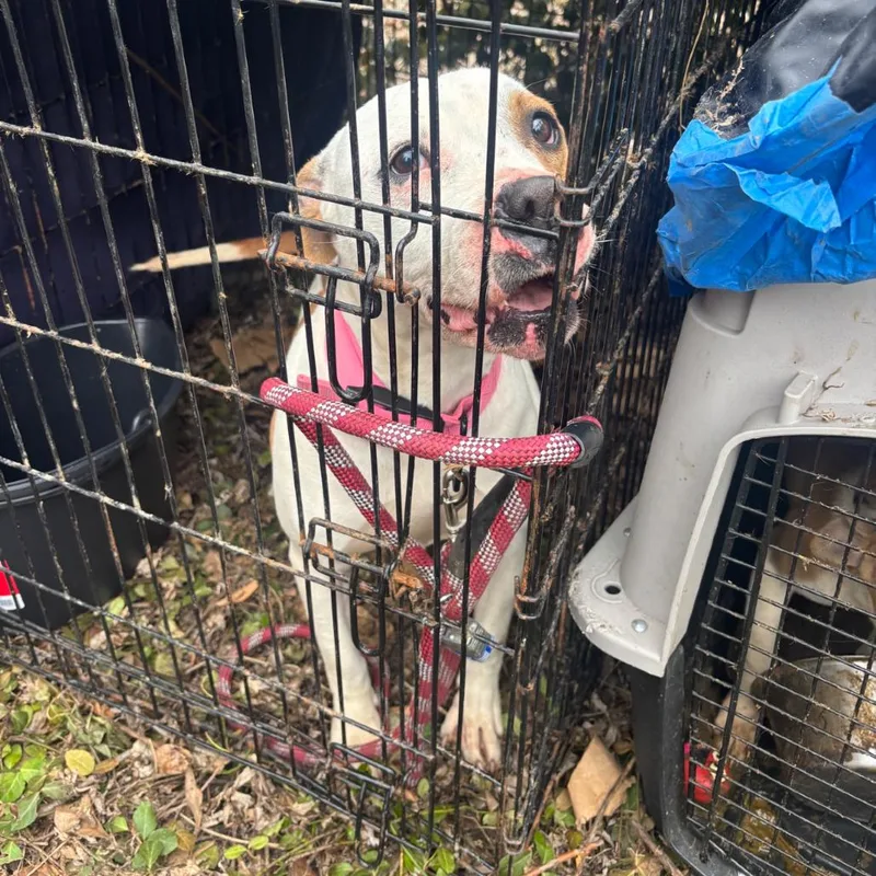 Texarkana thumbnail 2