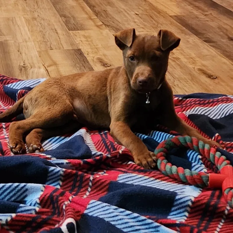 Valdosta thumbnail 2