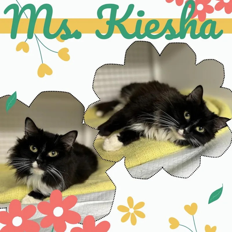 Ms. Keisha
