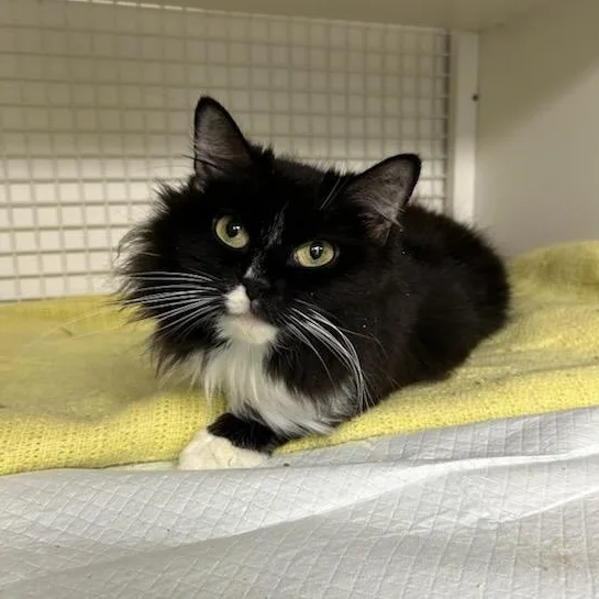 Ms. Keisha thumbnail 2