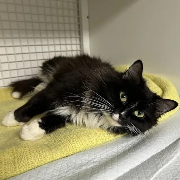 Ms. Keisha thumbnail 3