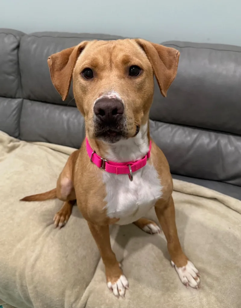 Molly Currently Enrolled In thumbnail 2