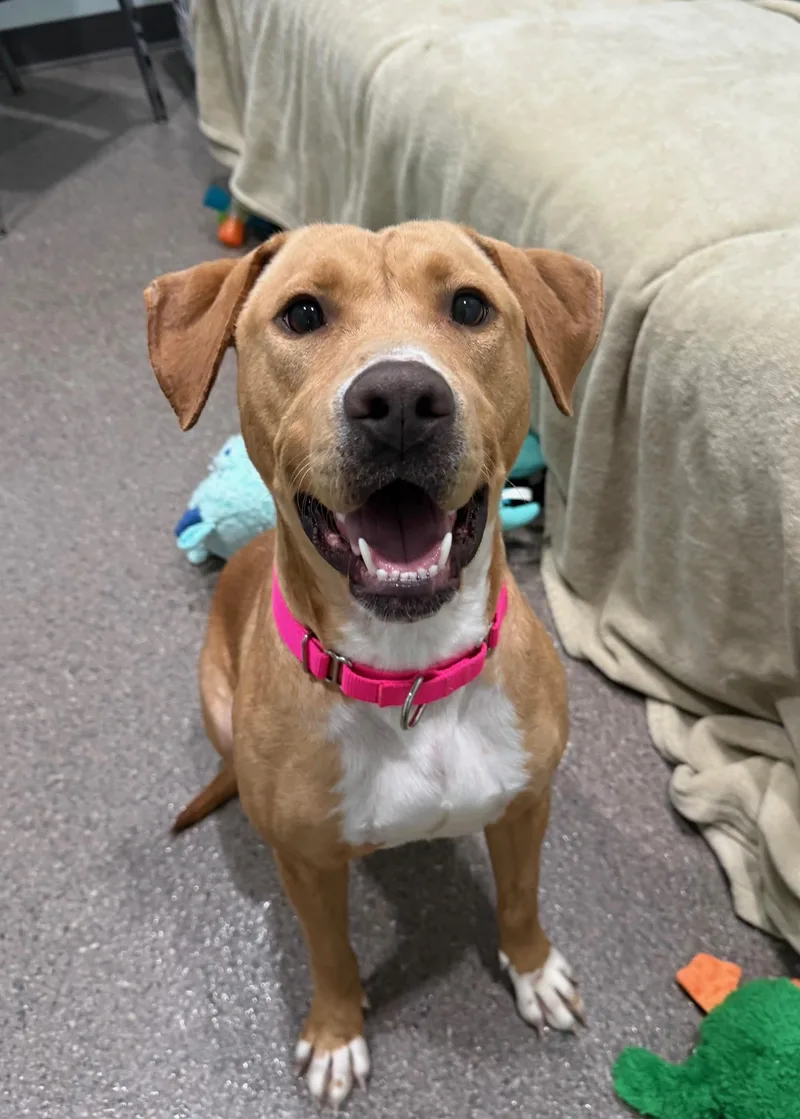 Molly Currently Enrolled In thumbnail 3