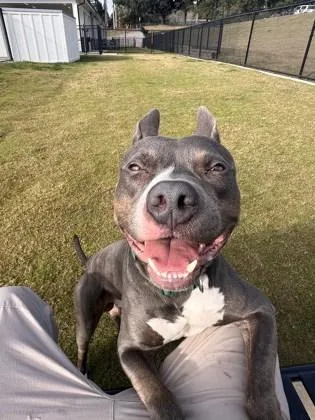 Charlie Brown thumbnail 3