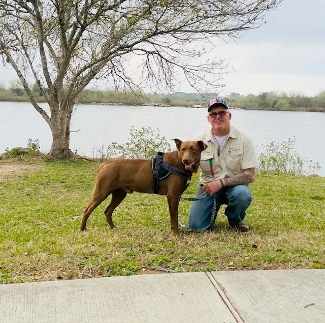 C Ranger thumbnail 5