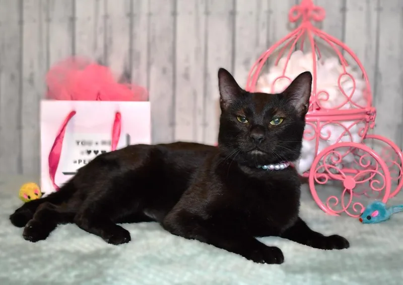 Wednesday thumbnail 2