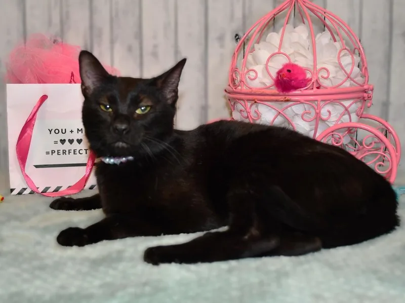 Wednesday thumbnail 3