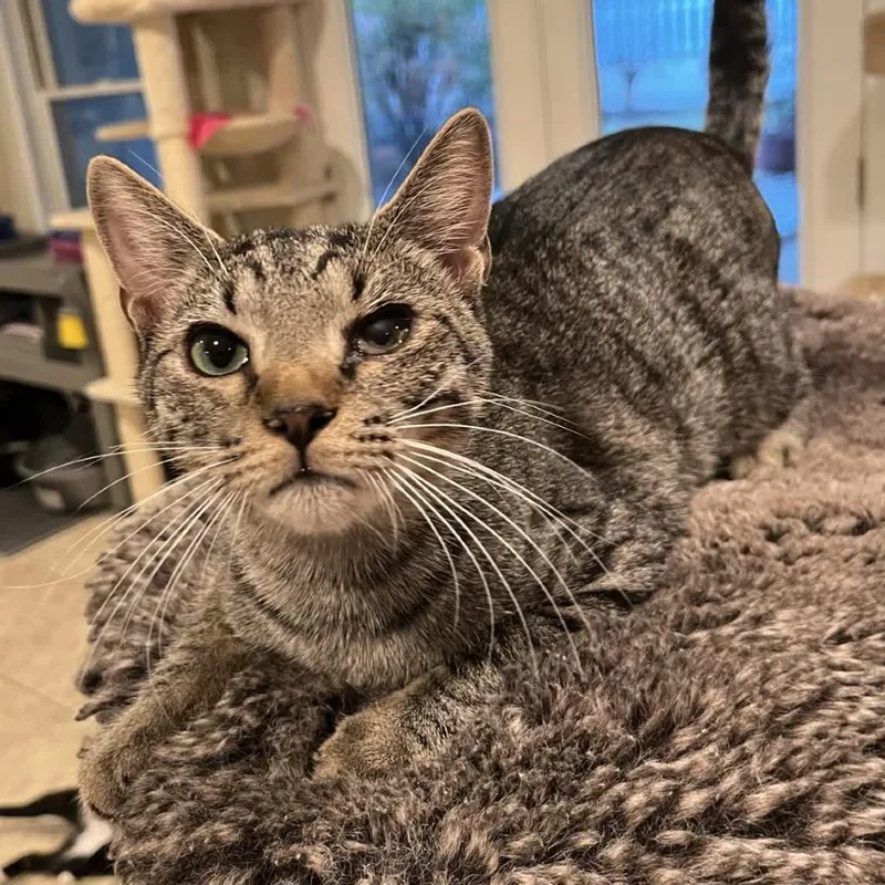 Miracle Max thumbnail 2