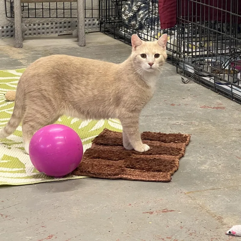 Charming thumbnail 2