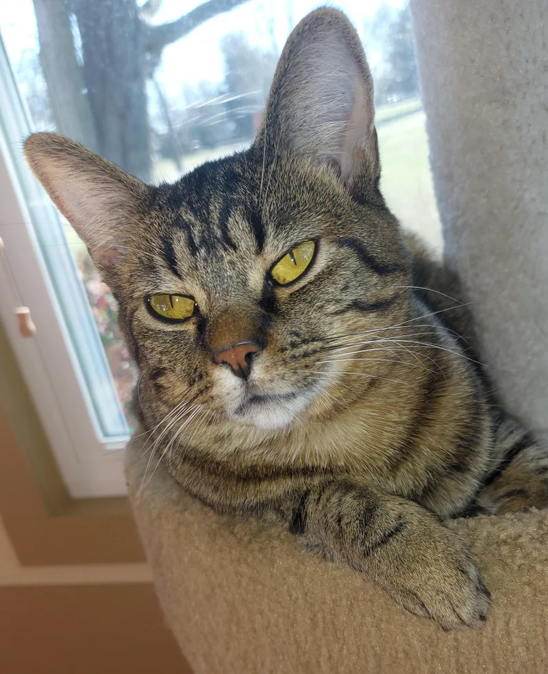 Chloe Rose thumbnail 2