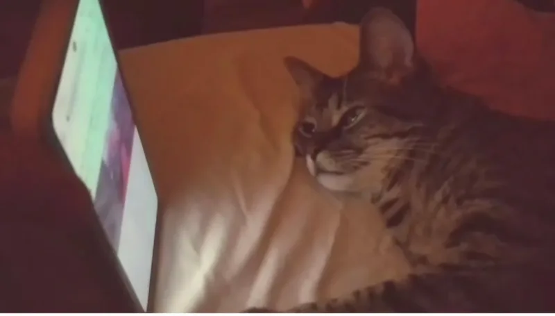 Chloe Rose thumbnail 4