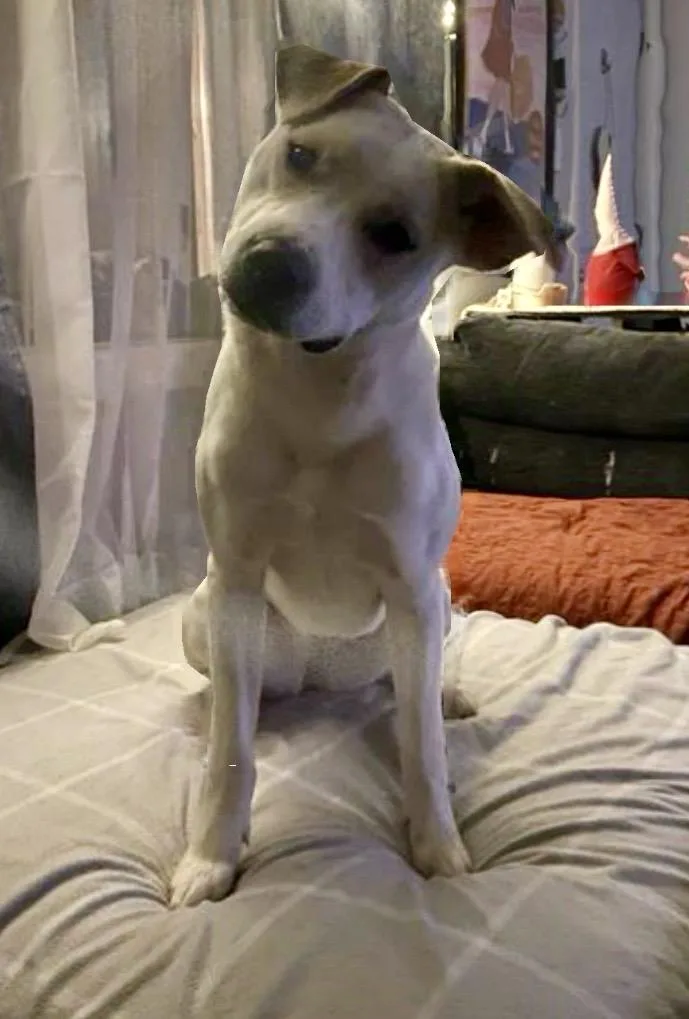 Christiana thumbnail 2