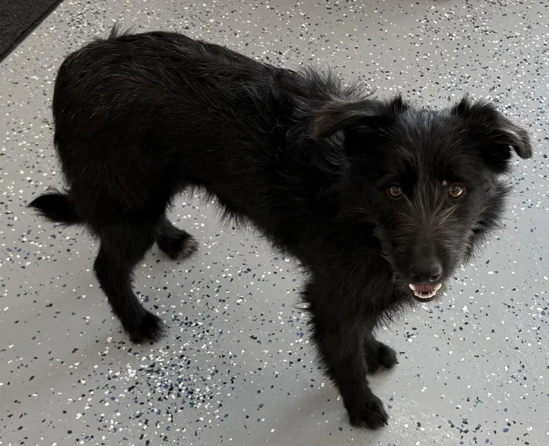 Clementine thumbnail 2