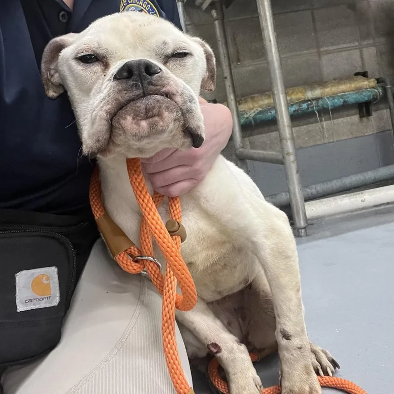 Punky Brewster thumbnail 4