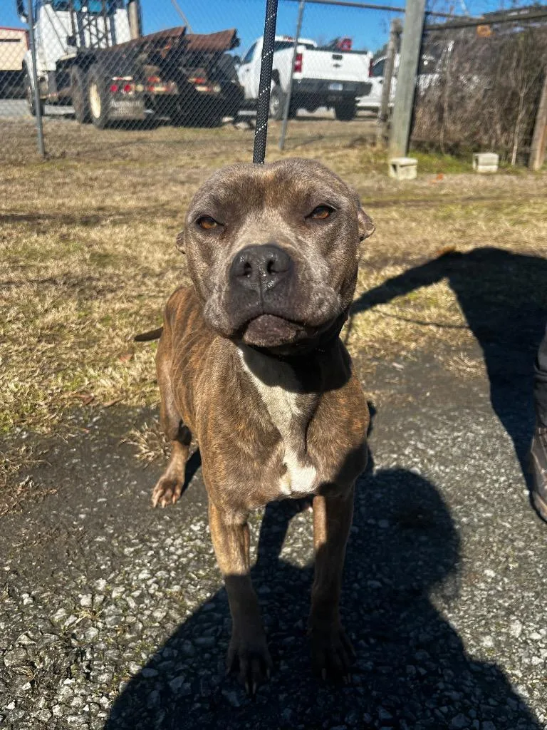 Taylor Swish thumbnail 2