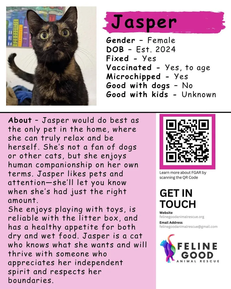 Jasper thumbnail 5