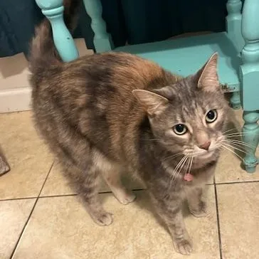 Helen & Olasard thumbnail 2