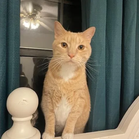 Helen & Olasard thumbnail 3